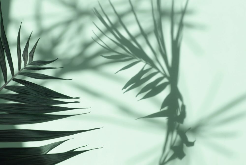 Dentiste_Saint_etienne_Temporaire